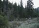 imgp0026_small.jpg