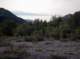 imgp0013_small.jpg