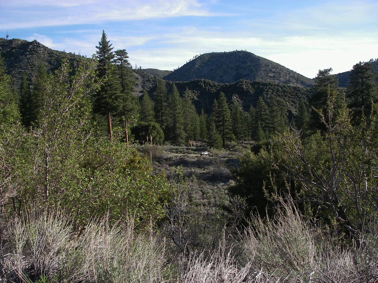 imgp0016.jpg