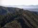 imgp0024_small.jpg