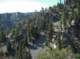 imgp0039_small.jpg
