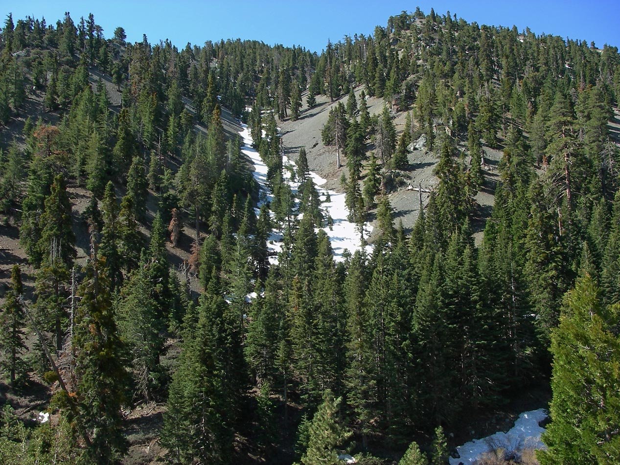 imgp0040.jpg