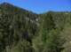 imgp0042_small.jpg