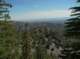 imgp0050_small.jpg