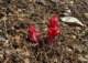 imgp0054_small.jpg