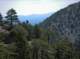 imgp0056_small.jpg