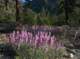 imgp0001_small.jpg