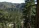 imgp0006_small.jpg