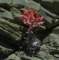 imgp0011_small.jpg