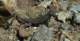 imgp0019_small.jpg