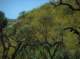 imgp0024_small.jpg