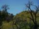 imgp0025_small.jpg