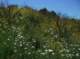 imgp0027_small.jpg