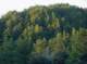 imgp0012_small.jpg