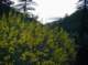 imgp0015_small.jpg