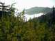 imgp0019_small.jpg