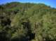 imgp0023_small.jpg