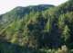 imgp0028_small.jpg