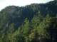 imgp0029_small.jpg
