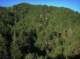 imgp0031_small.jpg