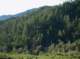 imgp0033_small.jpg