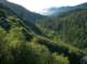 imgp0036_small.jpg