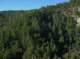 imgp0038_small.jpg