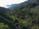 imgp0039_small.jpg
