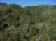 imgp0048_small.jpg