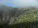 imgp0049_small.jpg
