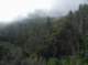imgp0052_small.jpg