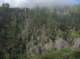 imgp0053_small.jpg