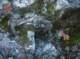 imgp0057_small.jpg