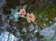 imgp0059_small.jpg