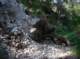 imgp0060_small.jpg