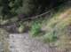 imgp0061_small.jpg