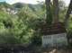 imgp0065_small.jpg