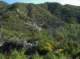 imgp0066_small.jpg
