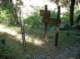 imgp0069_small.jpg