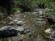 imgp0070_small.jpg