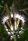 imgp0074_small.jpg