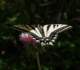 imgp0076_small.jpg