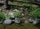imgp0077_small.jpg