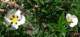 imgp0078_small.jpg