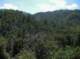 imgp0081_small.jpg