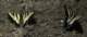 imgp0084_small.jpg
