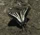 imgp0085_small.jpg