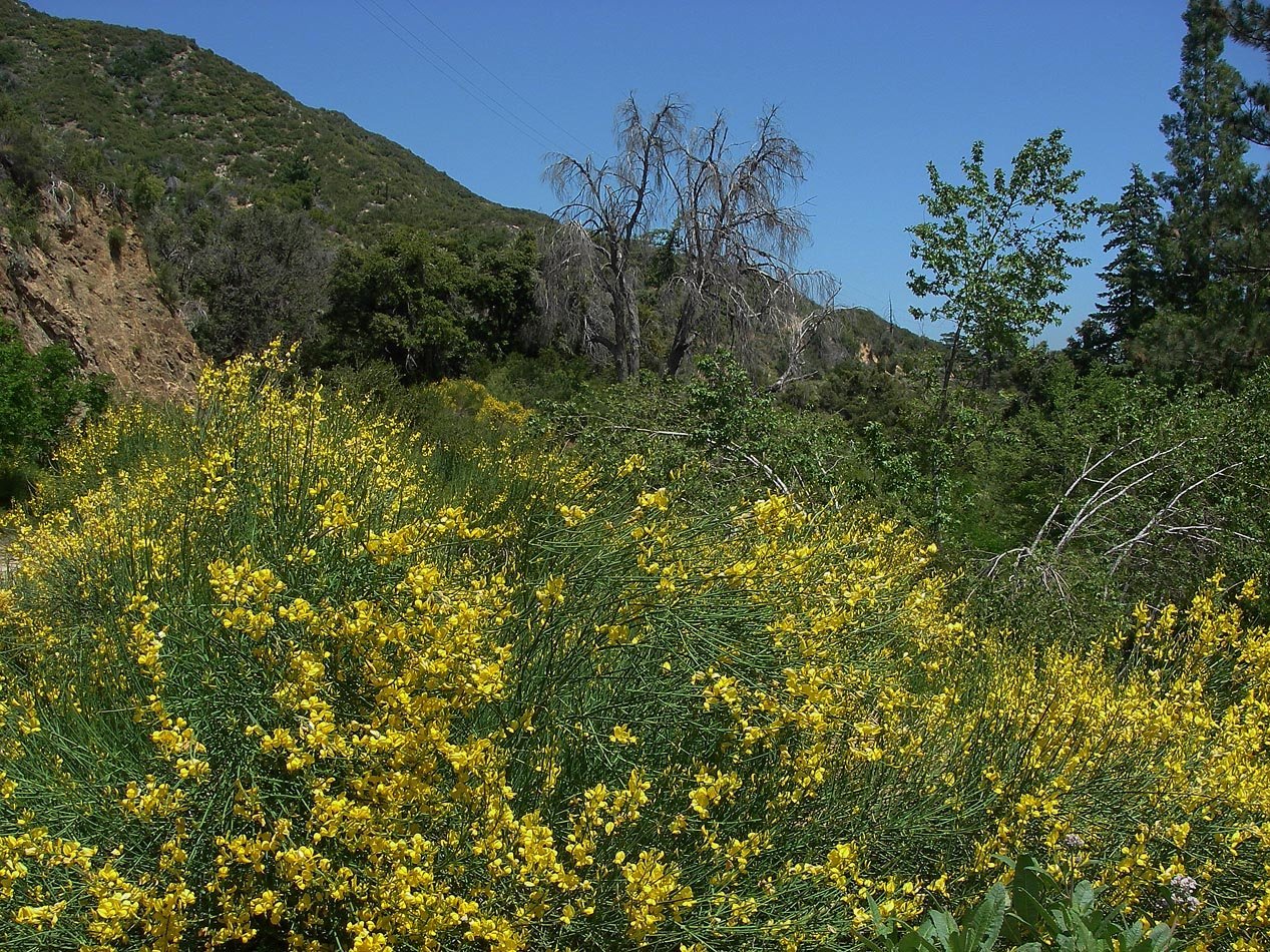 imgp0086.jpg