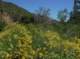 imgp0086_small.jpg