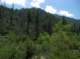 imgp0087_small.jpg
